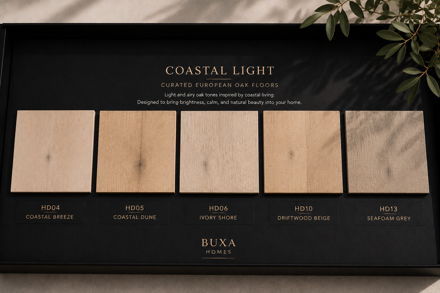Coastal Light Sample Box